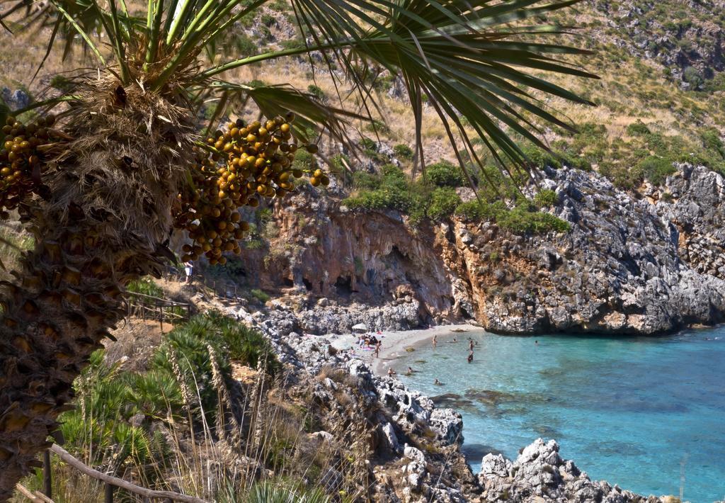 Agave Scopello Villa Værelse billede